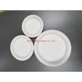 Biodegradable Disposable Sugarcane Bagasse Food Containers